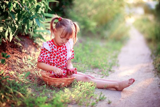 A little girl in a summer dress sits in a clearing and picks strawberries in a basket.