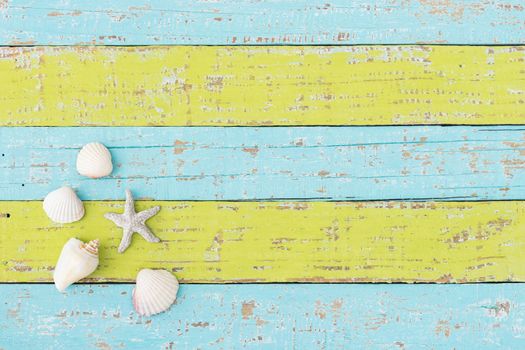 Summer beach holiday travel background with seashells and sea star 