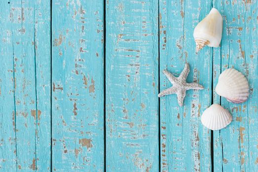 Summer beach holiday travel background turquoise wood with seashells and star fish decoration