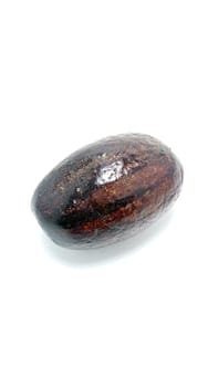 Brown ripe avocado fruit on white background