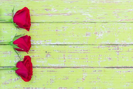 Red rose flowers on green wooden background with copy space