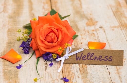 Bunch of flowers with gift card, voucher or coupon for Wellness