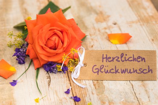 Orange rose flower and label with german text, Herzlichen Glueckwunsch, means congratulation