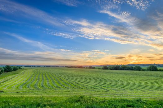 Twilight at cultivated land in the countryside on a summer evening with cloudy sky background. Procurement of food for animals. Combined field. Landscape.