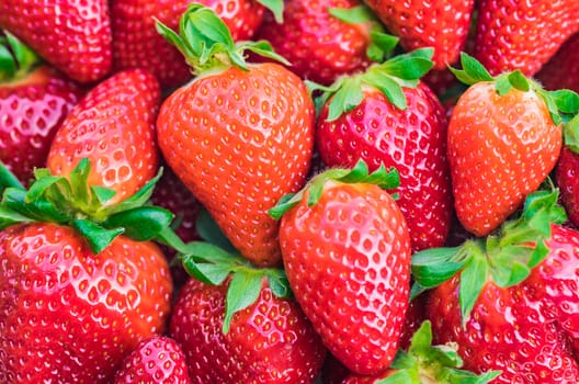 Red strawberry fruits background, close-up
