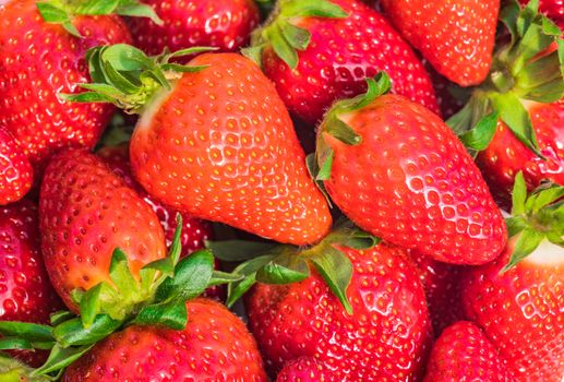 Fruits background with ripe red strawberry fruits