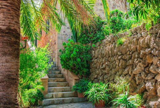 Mediterranean house garden patio with palm tree and plants