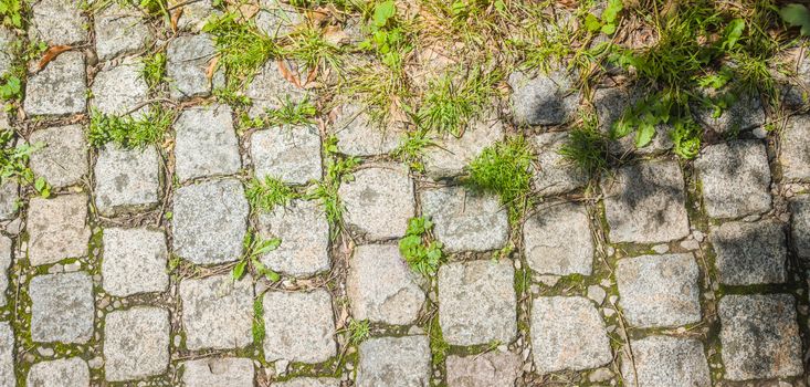 Old cobblestone background with weeds