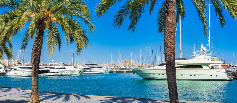 Marina in Palma de Mallorca with luxury yachts and Cathedral La Seu, panorama view