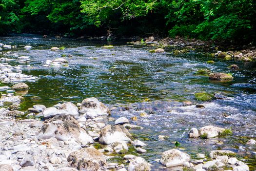 River Kent running over the rocks and pebbles with tree lined banks in summer