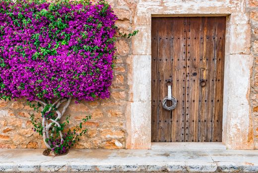 Beautiful mediterranean house front door entrance with blooming bougainvillea