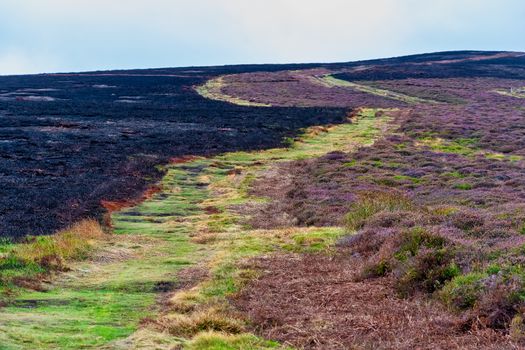Landscape view of theHorseshoe pass in Wales showing damage caused by a wildfire