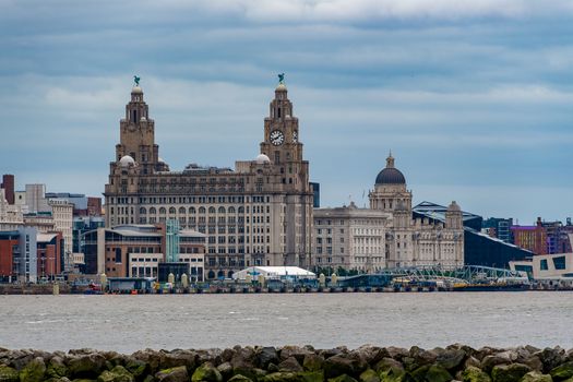 The Liver building as viewed from the banks of the river Mersey