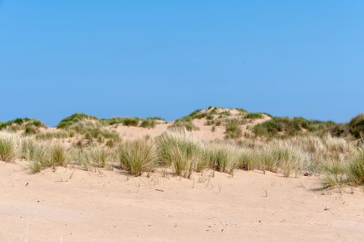 sand dunes on a bright sunny day