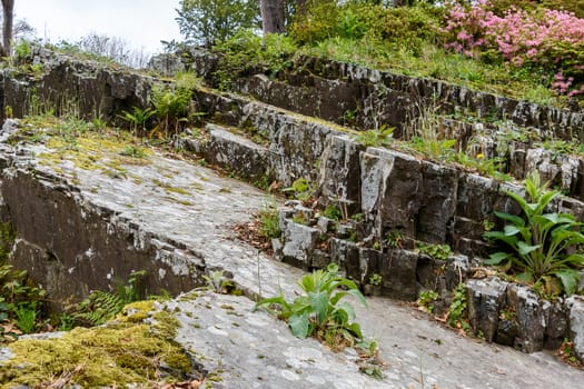 A old slate rockface with wild plants growing on it