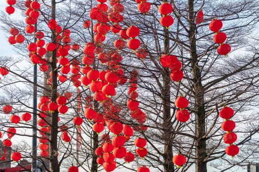 Chinese lanterns hanging in a tree. A chinese new year concept