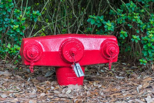 Red American fire hydrant