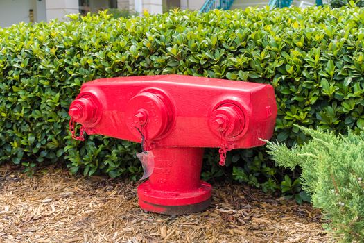 Red American fire hydrant