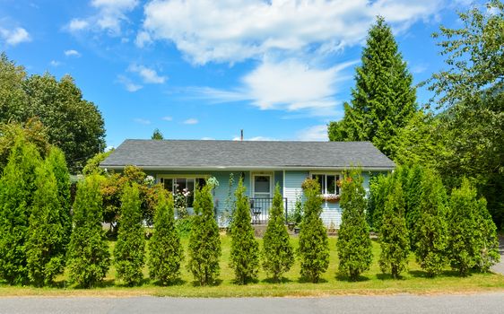 Little blue family house behind decorative trees growing into the hedge