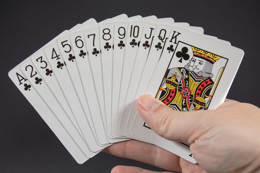 A hand holding the suit of Clubs from playing cards