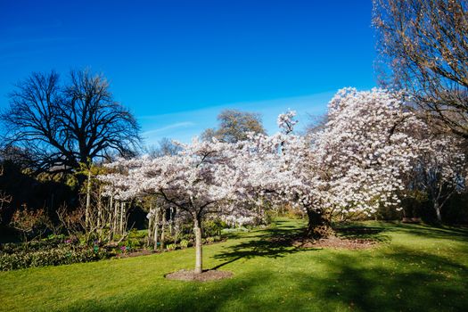 Landscape around the River Avon in Christchurch on a warm spring day in New Zealand