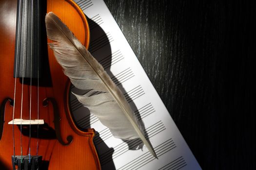 Nice violin and feather on music book against dark background