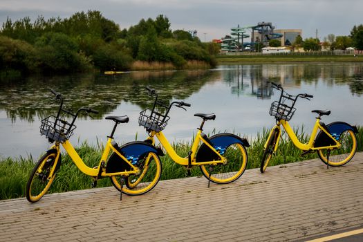 Two yellow city bikes by the lake.