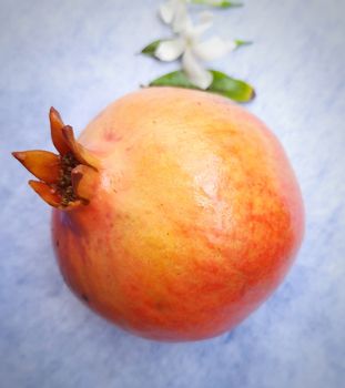 One Pomegranate with its leaf placed beautifully in white paper background and white flower for decoration