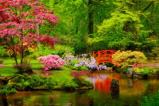 Small bridge in Japanese garden, Park Clingendael, The Hague, Netherlands