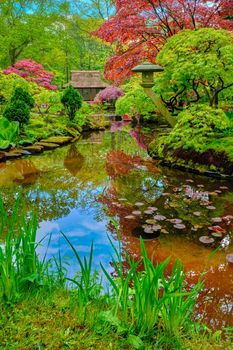 Little Japanese garden after rain, Park Clingendael, The Hague, Netherlands