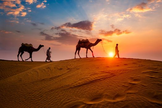 Indian cameleers (camel driver) bedouin with camel silhouettes in sand dunes of Thar desert on sunset. Caravan in Rajasthan travel tourism background safari adventure. Jaisalmer, Rajasthan, India