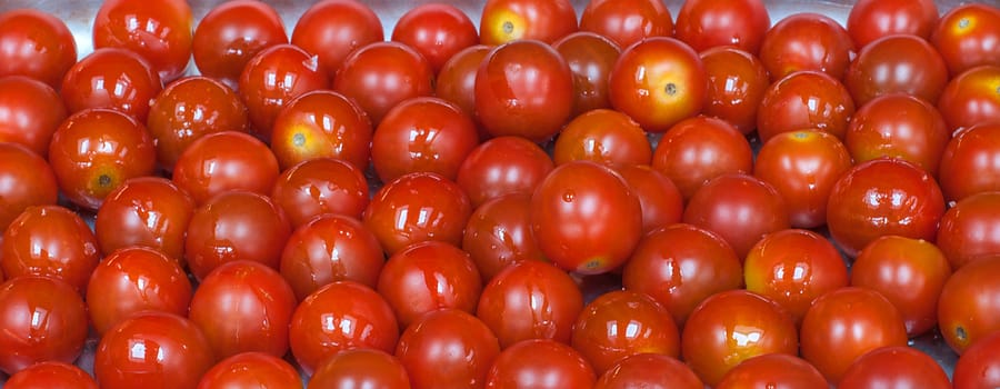 lots of cherry tomatoes