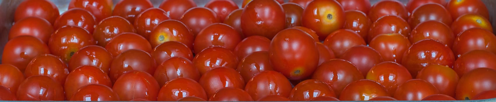 wide angle view of cherry tomatoes