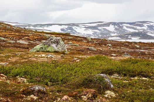 Norway landscapes. Beautiful mountainous landscape around Norwegian fjord in sunny day. Beautiful Nature Norway natural landscape. Norwegian climate. Stones boulders covered with moss.