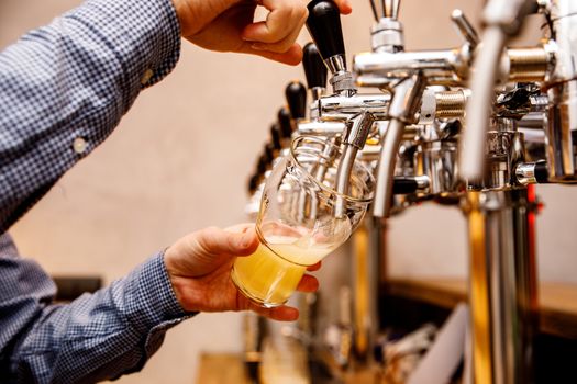 The bartender pours fresh light beer from the tap in the pub