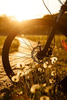 Bicycle wheel in the field at sunset. Close-up of a hydraulic brake disc.