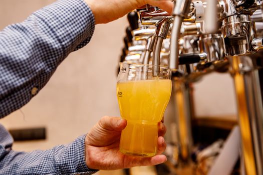 The bartender pours fresh light beer from the tap in the pub