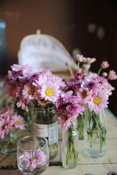 pink daisies flower in jar