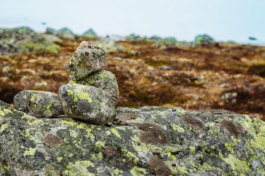 Noth Norway summer mountain cloudy tundra scene. Stones boulders covered with moss.