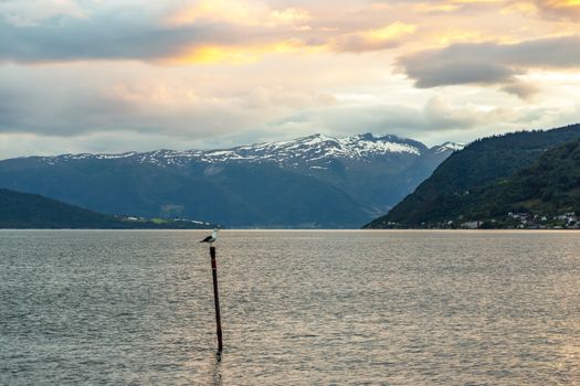 Norway landscapes. Beautiful mountainous landscape around Norwegian fjord at evening. Beautiful Nature Norway natural landscape.