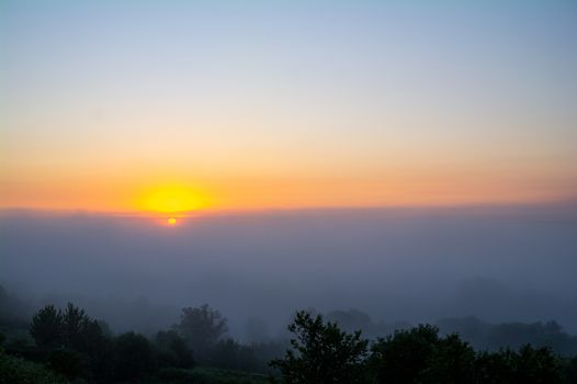 Mist sunrise and tree silhouettes in the fog