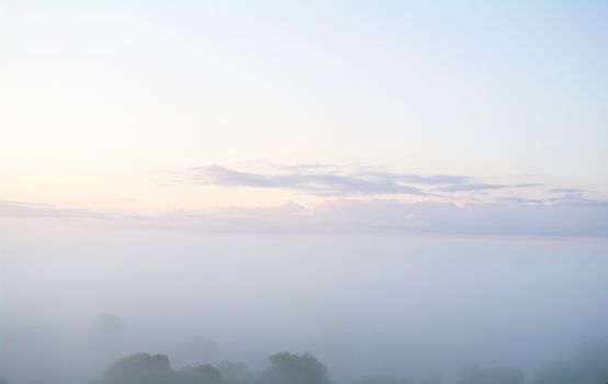 Predawn fog and clouds and tree silhouettes.