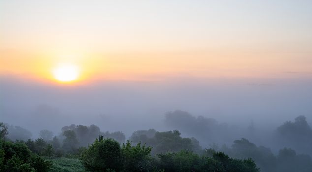 Silhouettes of trees on a background of sunrise from the fog.