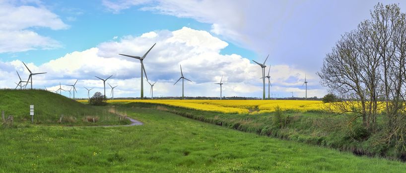 Panoramic view on alternative energy wind mills in a windpark