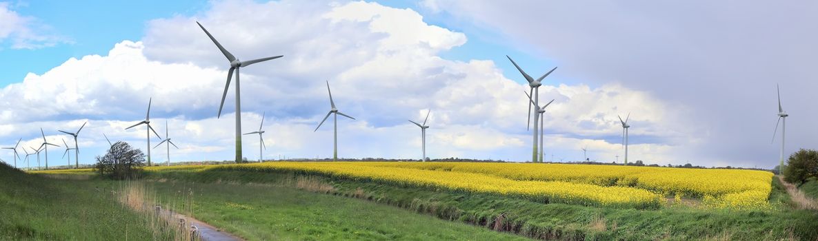 Panoramic view on alternative energy wind mills in a windpark