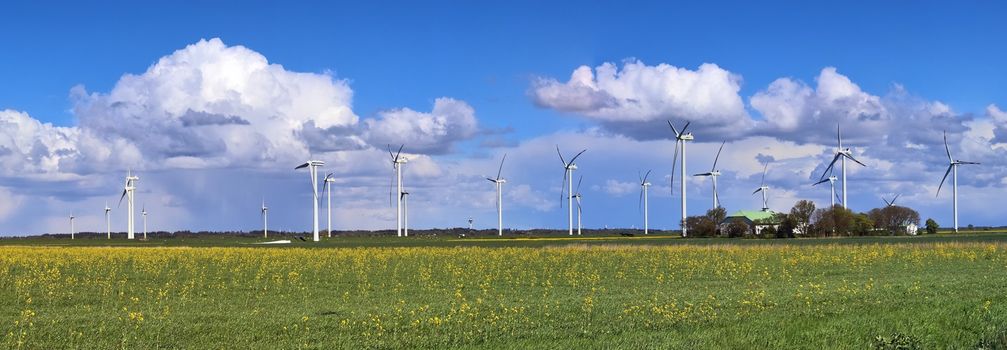 Panoramic view on alternative energy wind mills in a windpark