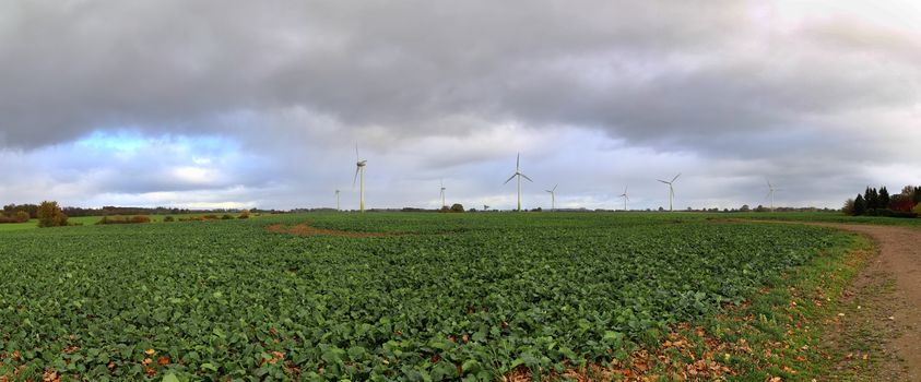 Panoramic view on alternative energy wind mills in a windpark