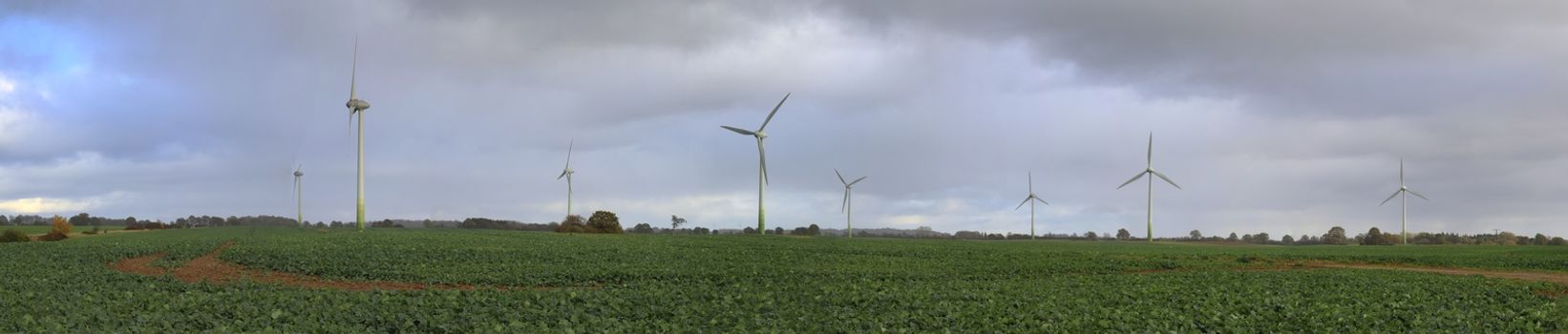 Panoramic view on alternative energy wind mills in a windpark