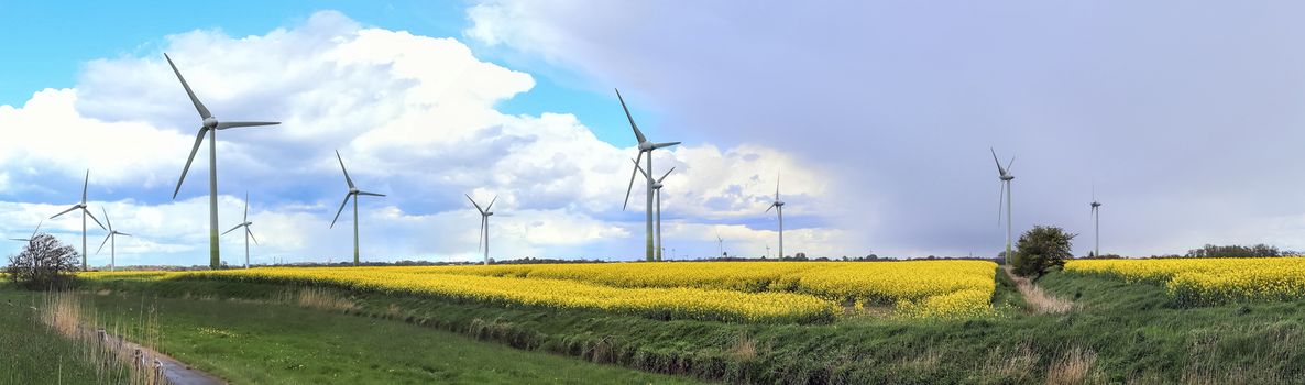 Panoramic view on alternative energy wind mills in a windpark