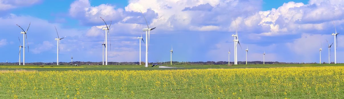 Panoramic view on alternative energy wind mills in a windpark